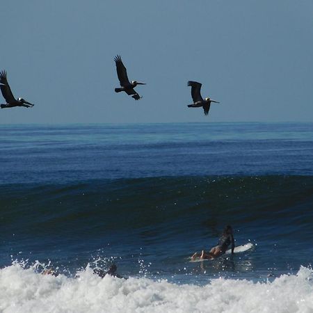 Cabinas Playa Surf Hostel Playa Santa Teresa  외부 사진