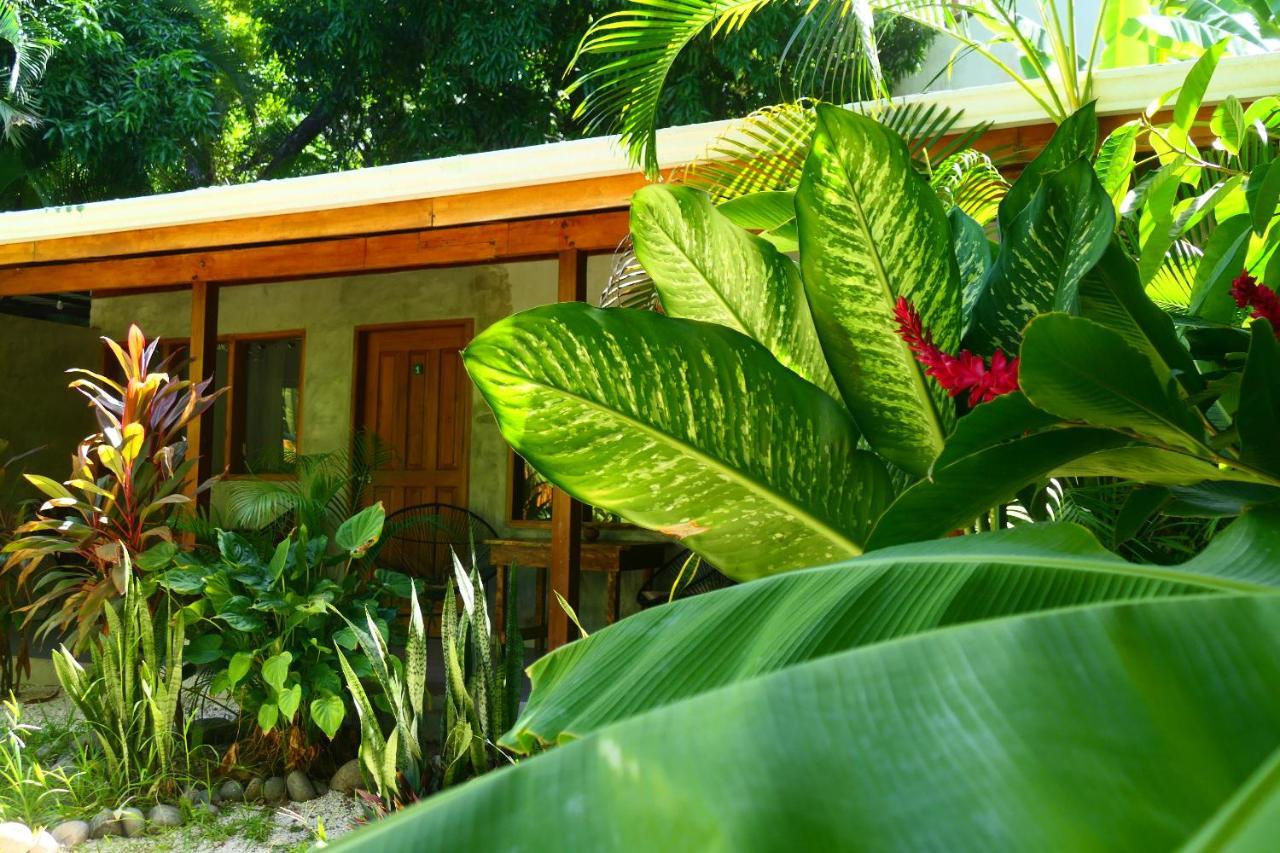 Cabinas Playa Surf Hostel Playa Santa Teresa  외부 사진