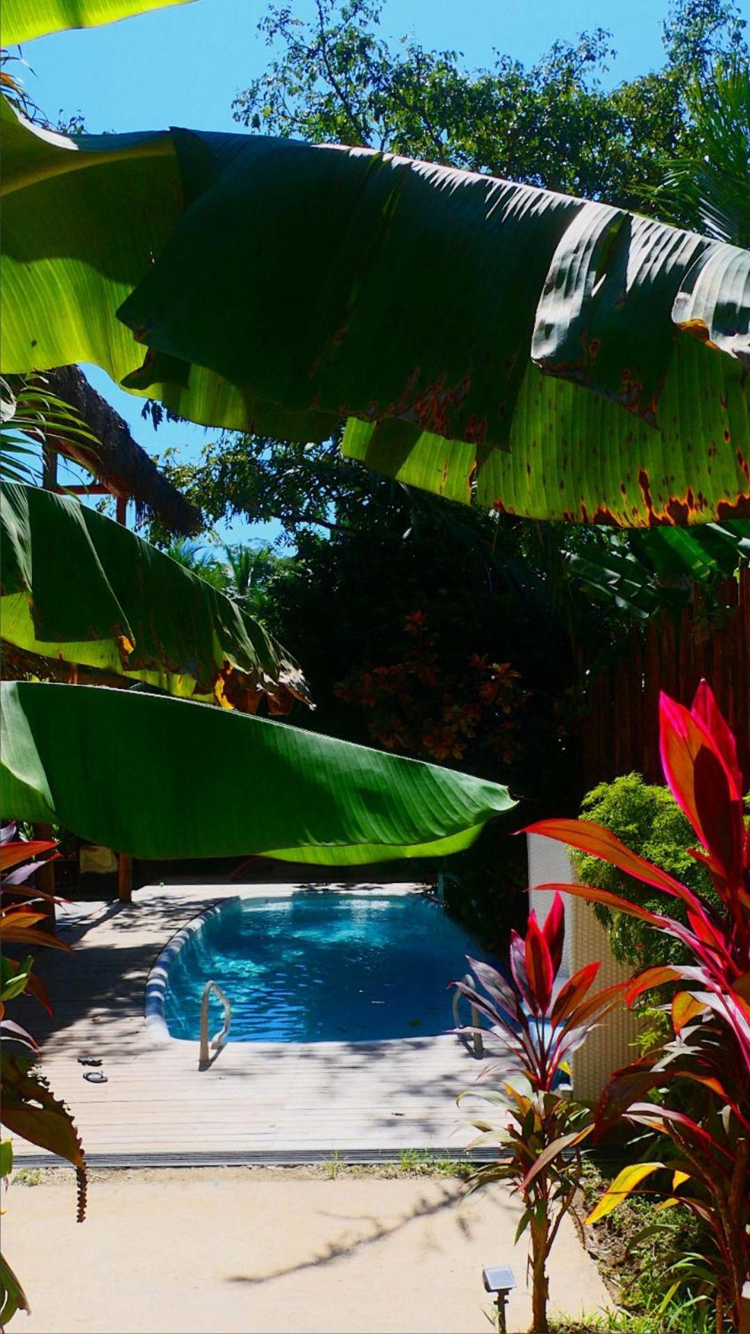 Cabinas Playa Surf Hostel Playa Santa Teresa  외부 사진