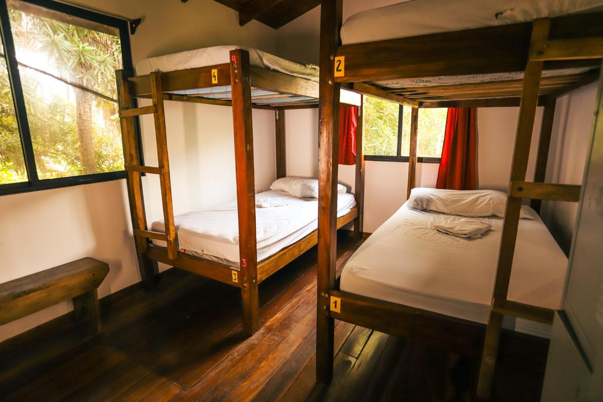 Cabinas Playa Surf Hostel Playa Santa Teresa  외부 사진