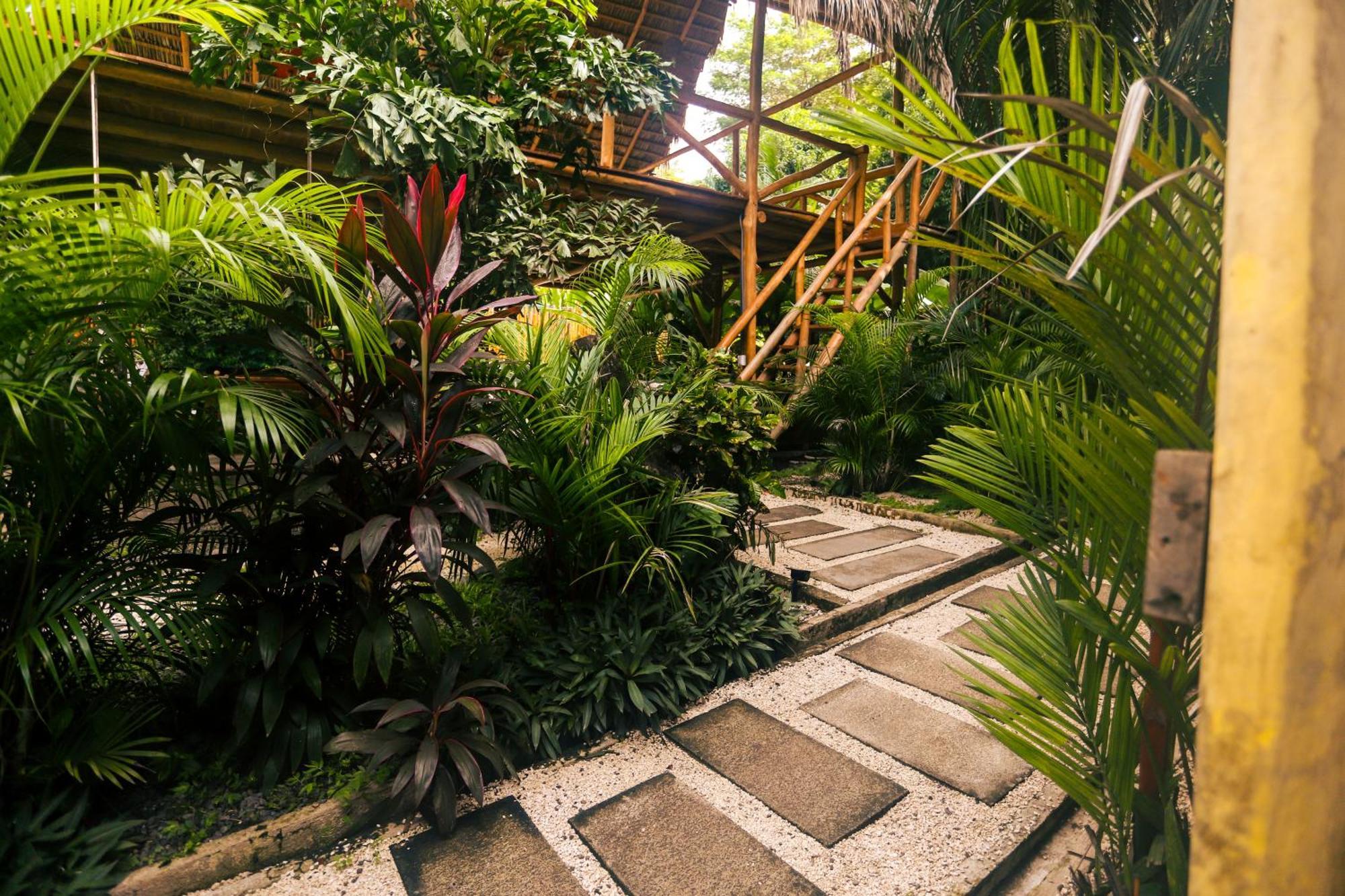 Cabinas Playa Surf Hostel Playa Santa Teresa  외부 사진