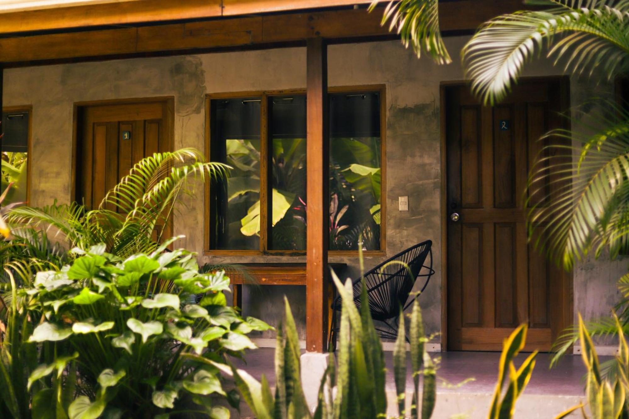 Cabinas Playa Surf Hostel Playa Santa Teresa  외부 사진