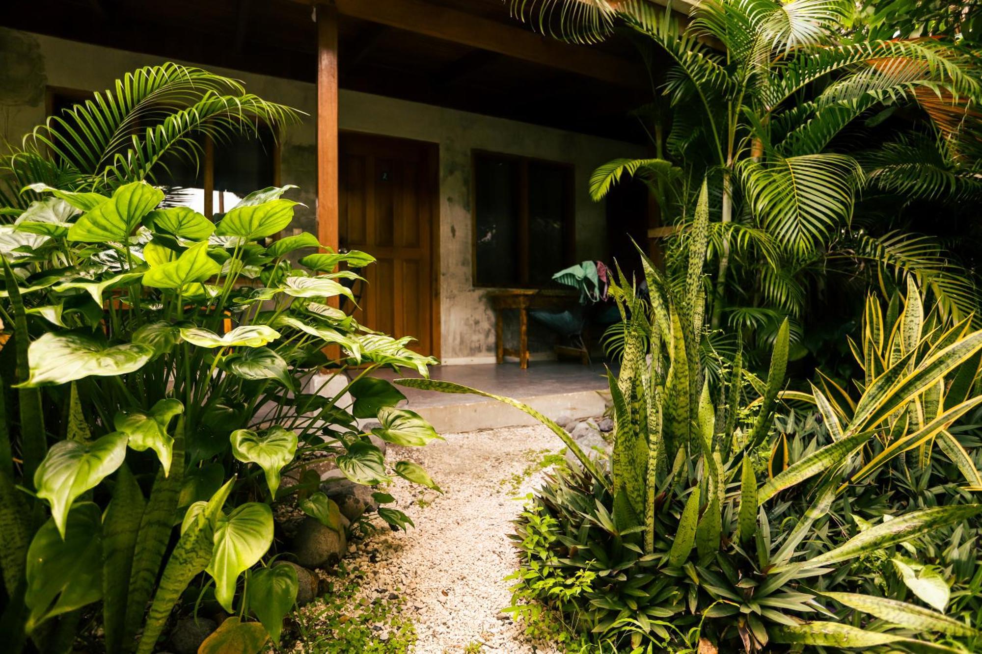 Cabinas Playa Surf Hostel Playa Santa Teresa  외부 사진