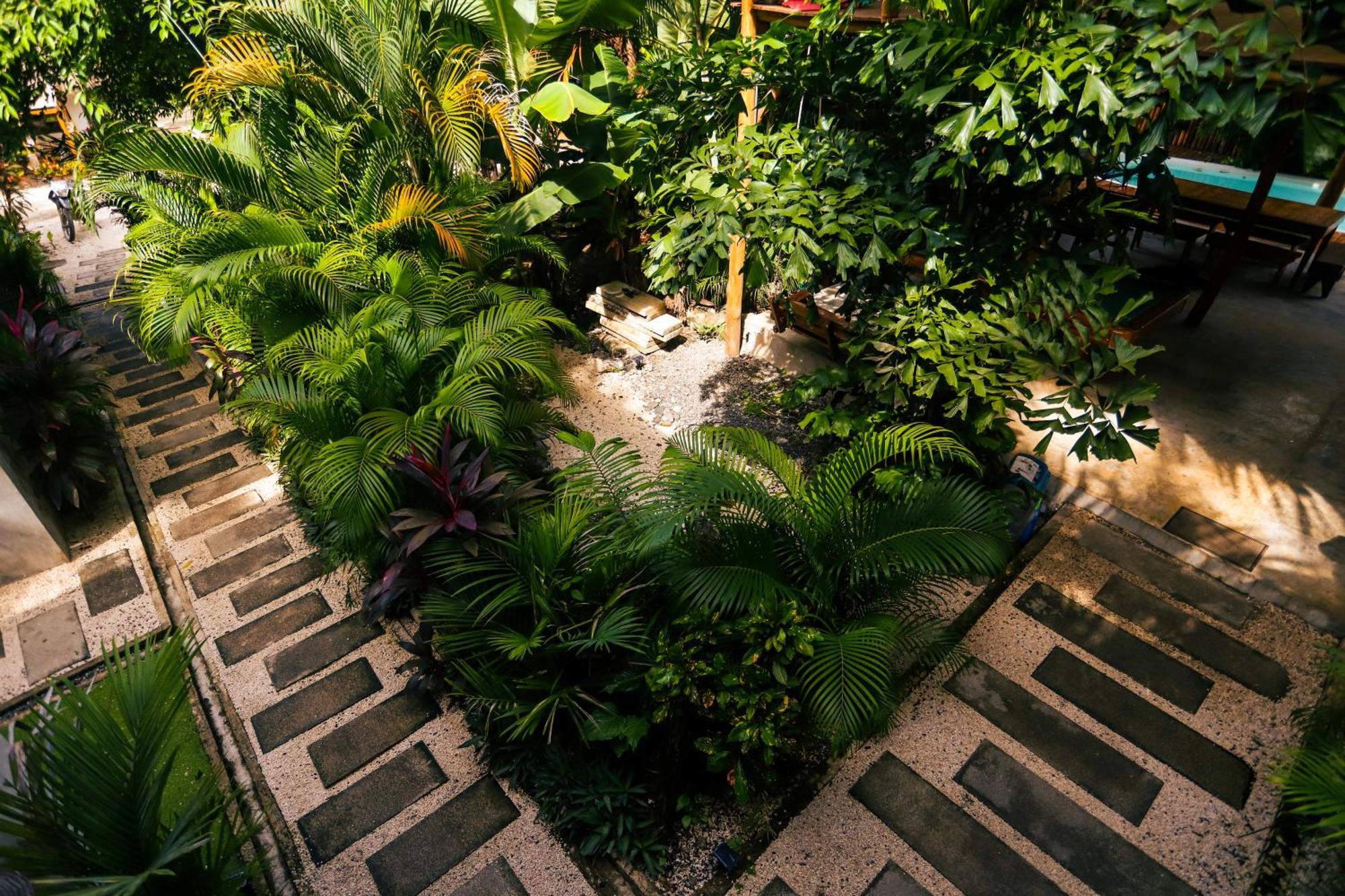 Cabinas Playa Surf Hostel Playa Santa Teresa  외부 사진