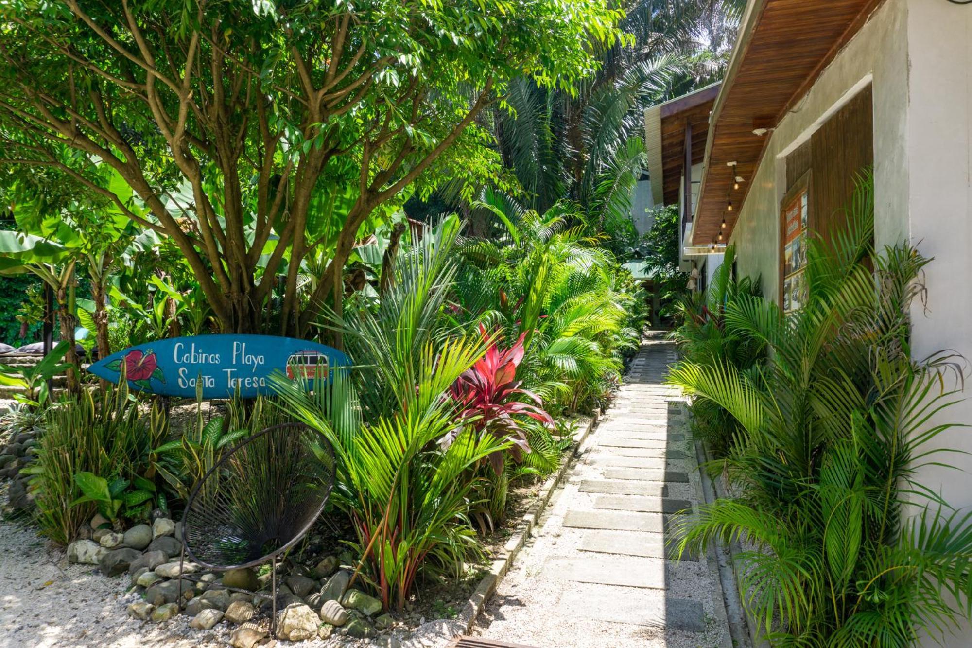 Cabinas Playa Surf Hostel Playa Santa Teresa  외부 사진