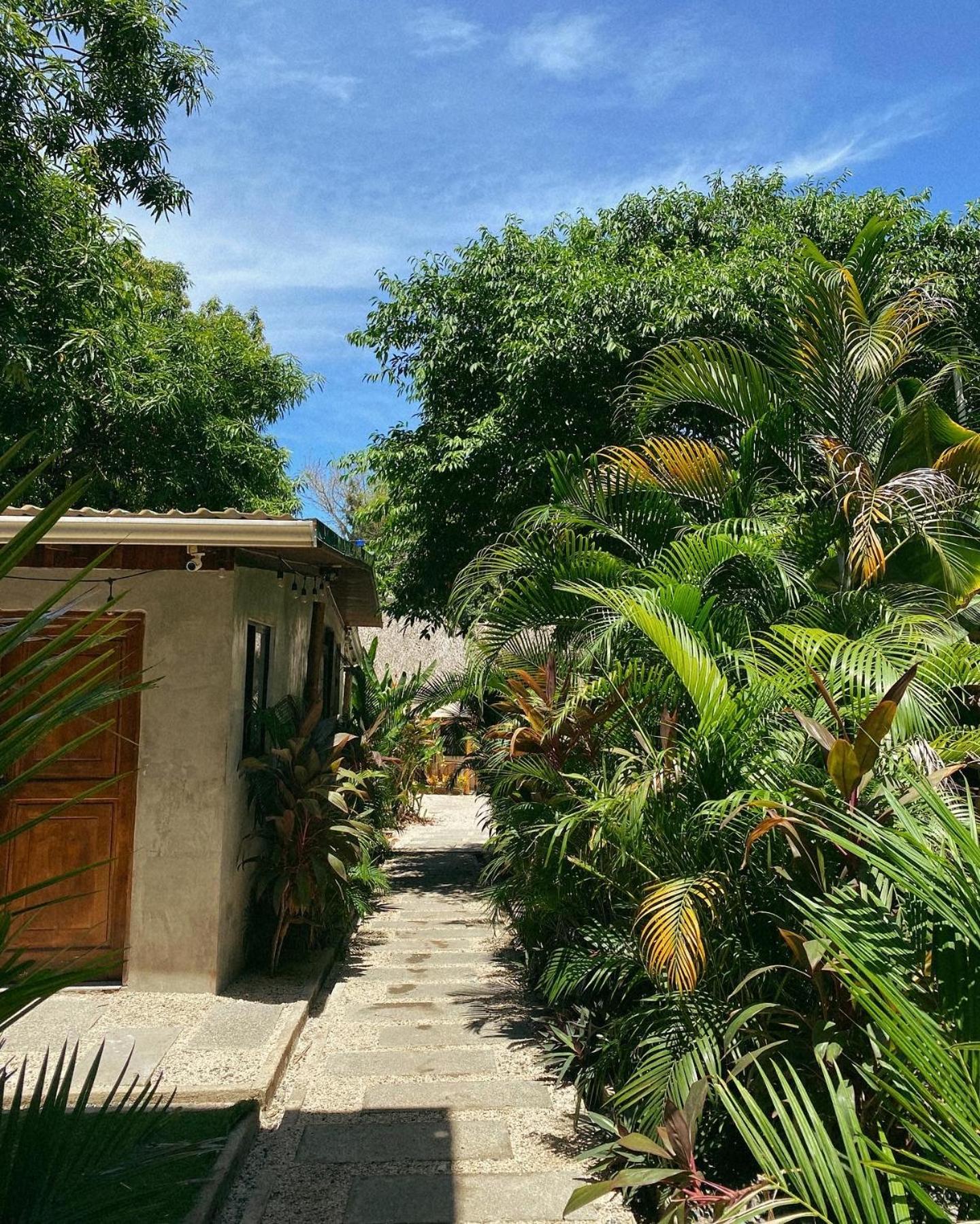 Cabinas Playa Surf Hostel Playa Santa Teresa  외부 사진